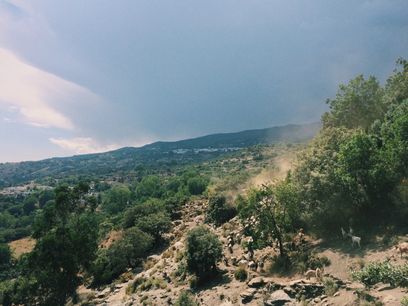 Processed with VSCO with c1 preset